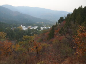 Autumn red and gold foliage overlooking hills and buildings at Fragrant Hills Park in Beijing