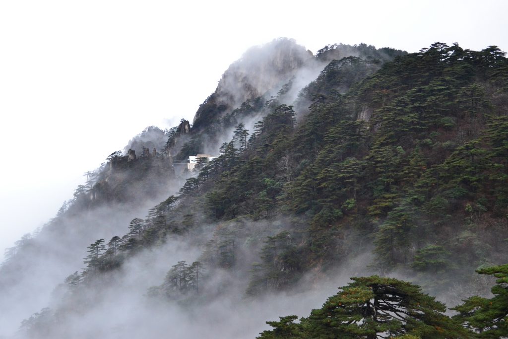 Misty Huangshan Yellow Mountain granite peaks and pine trees in autumn haze