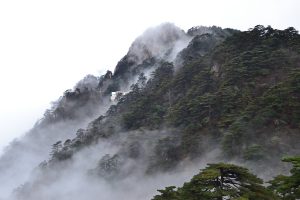 Misty Huangshan Yellow Mountain granite peaks and pine trees in autumn haze