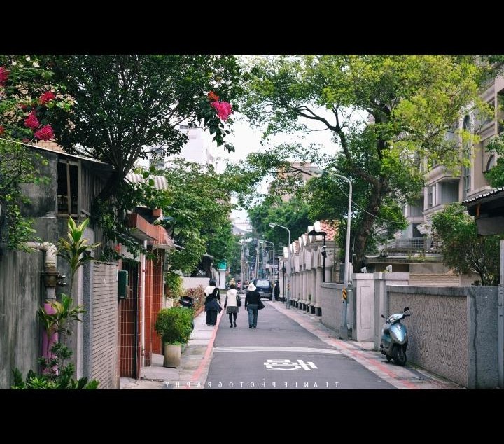 Tree-lined Taipei side street with a painted slow character on the asphalt