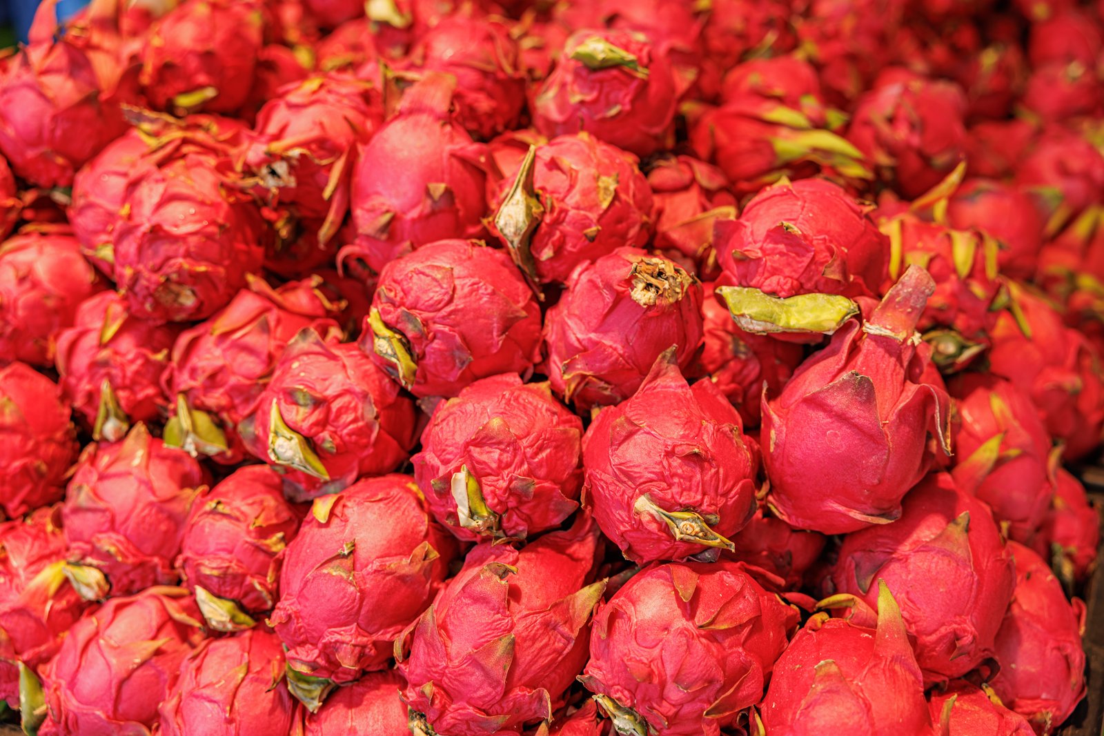 Pitaya and fruit displayed at a market stall in Shenzhen